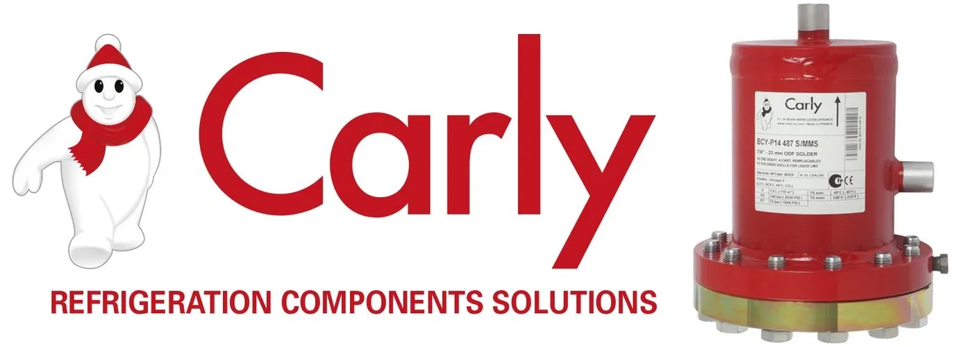 Carly cover